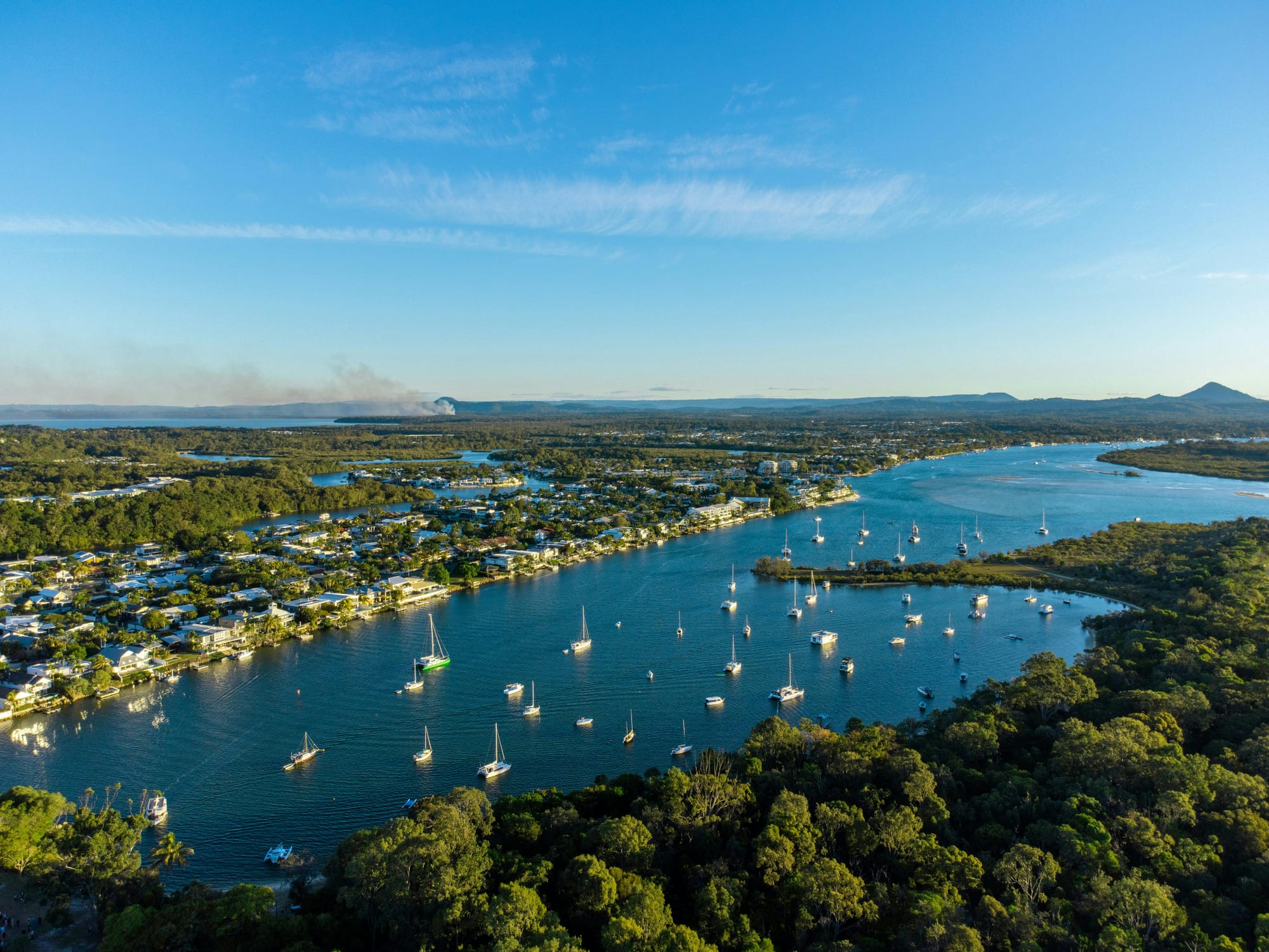 boats in river surrounded by trees in noosa