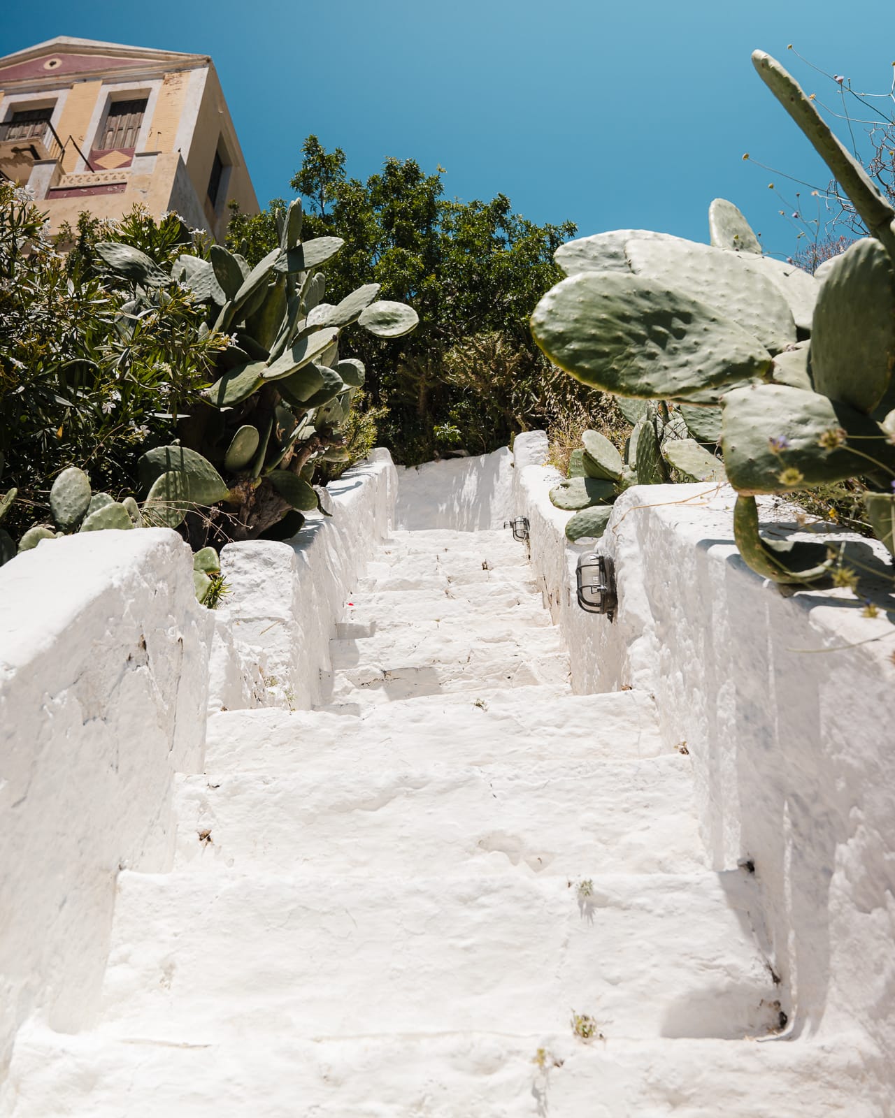 white staircase with green cactus plants on symi island