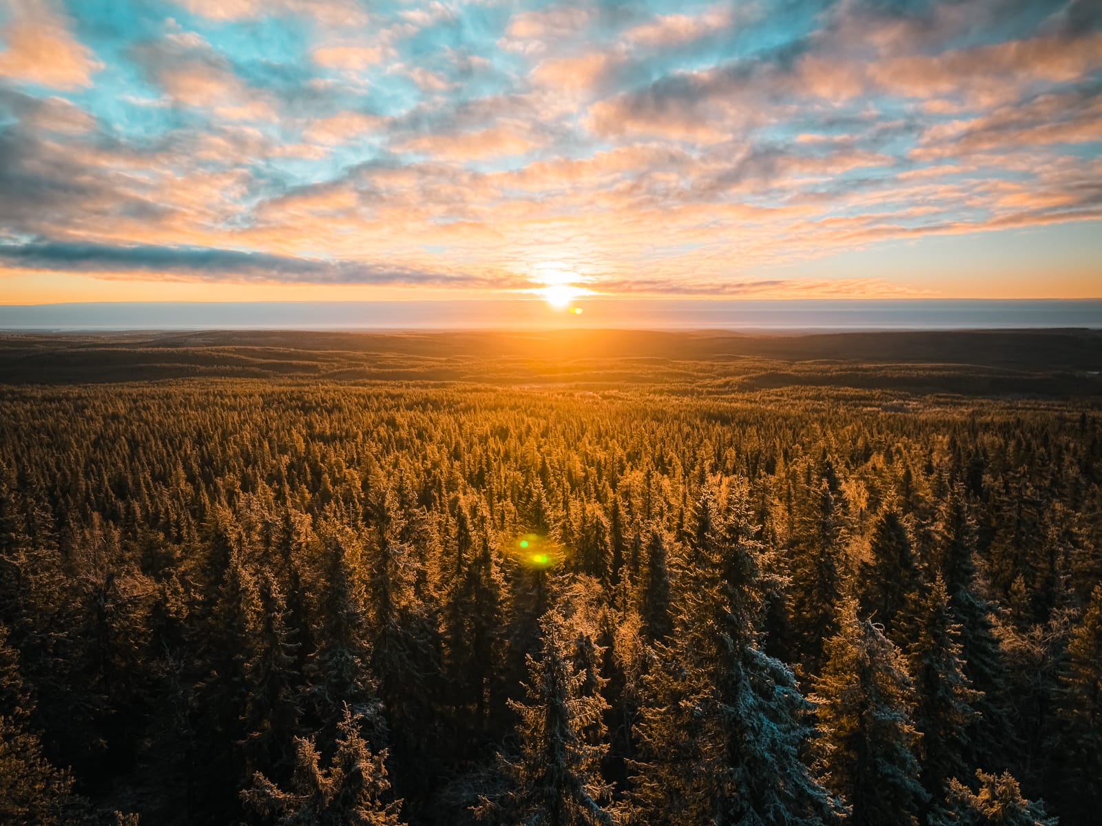 aerial view of forest in lapland