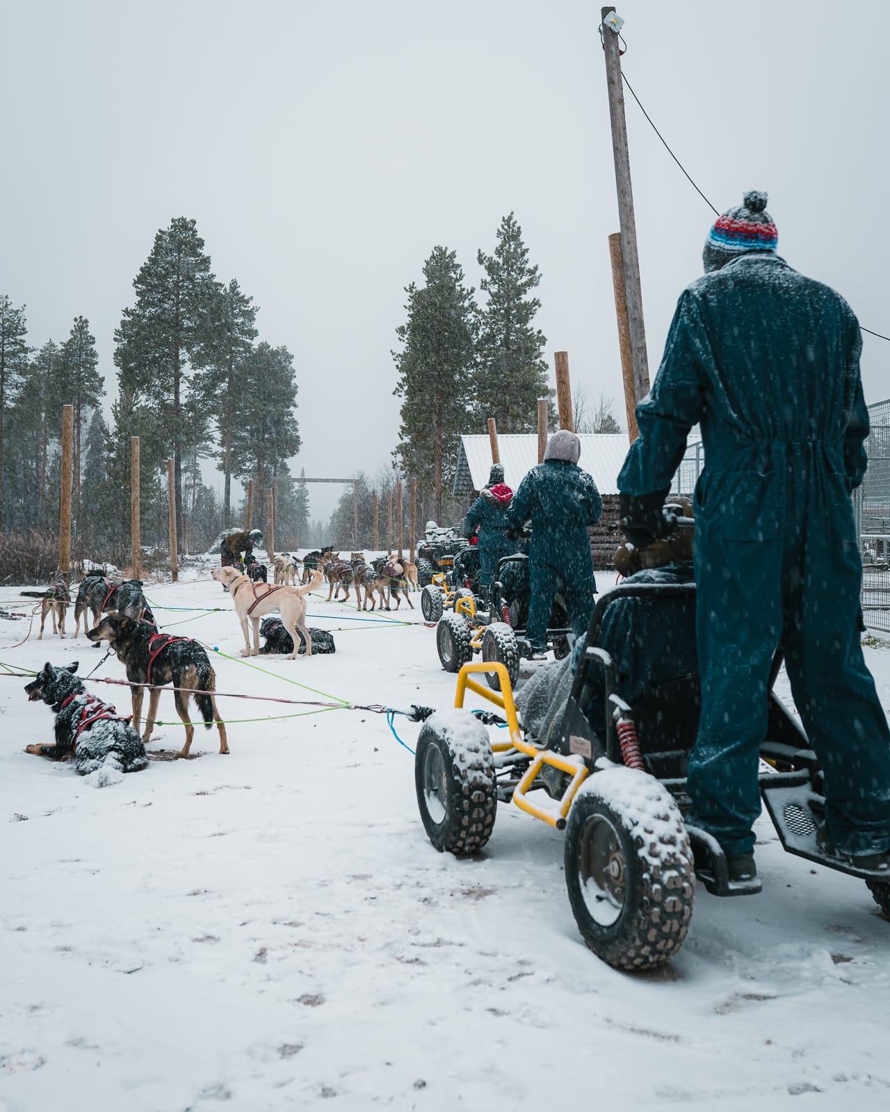 group of huskies and people on carts at bearhill husky, lapland