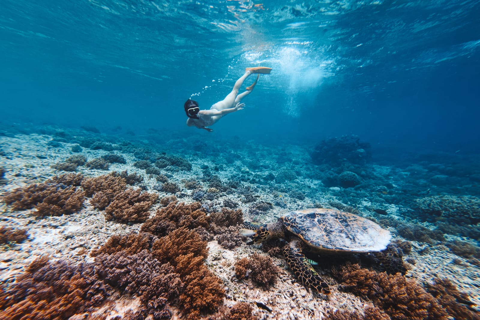 woman snorkelling with a tutle in gili islands
