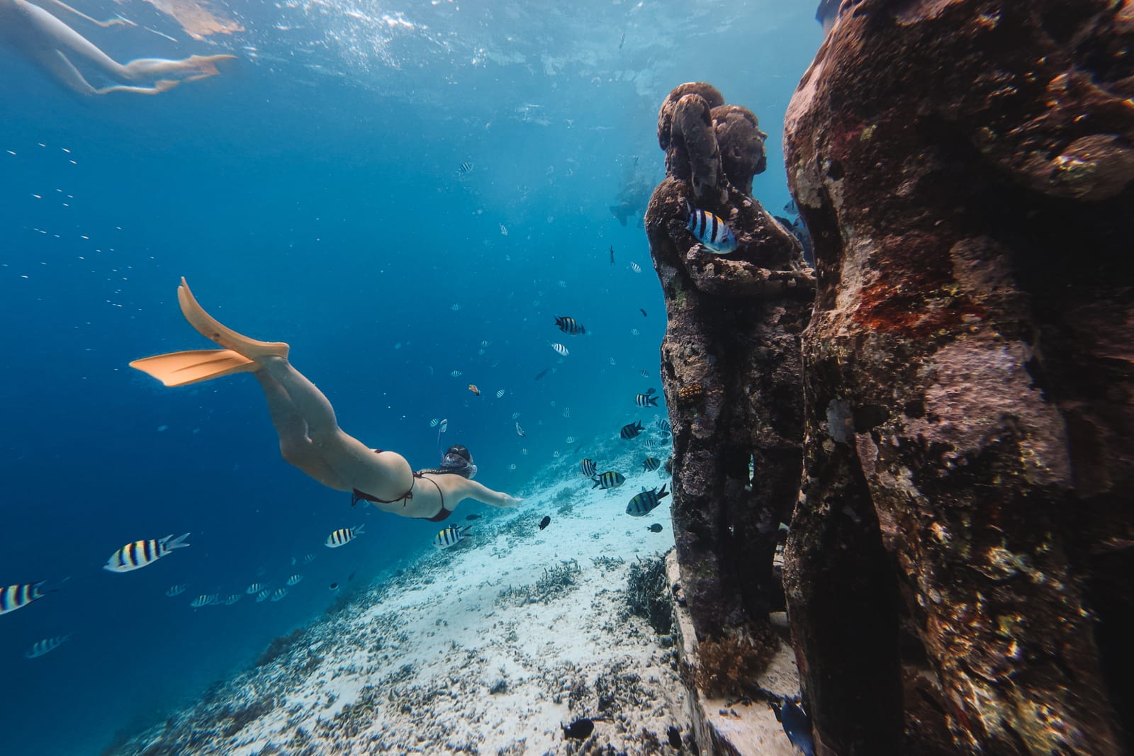 woman snorkelling along bask nest underwater statues in the gili islands