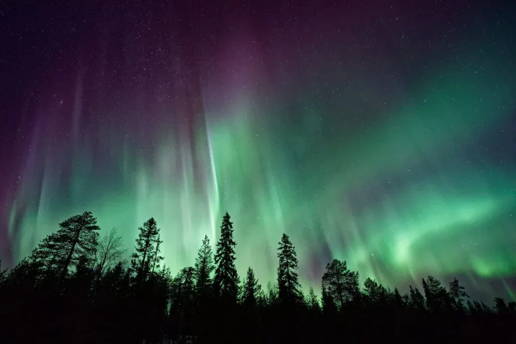 person standing under starry sky with green aurora