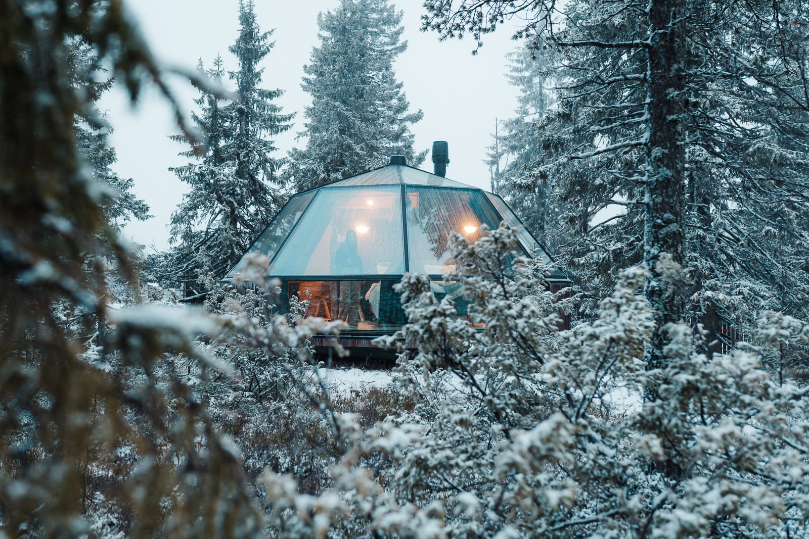 igloo hotel surrounded by snowy trees at syote igloo in lapland