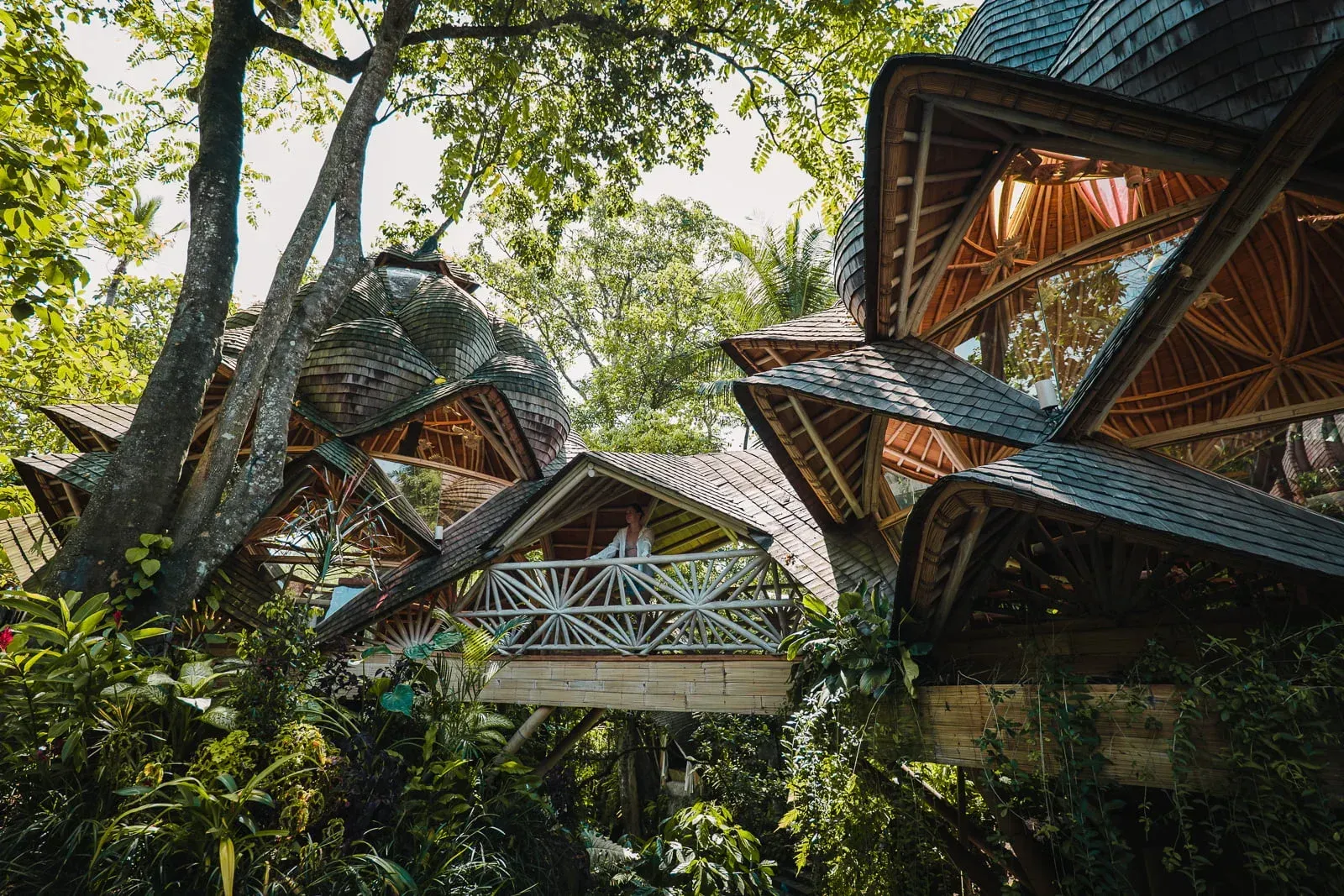 Staying in a treehouse hotel from Avatar 🌿