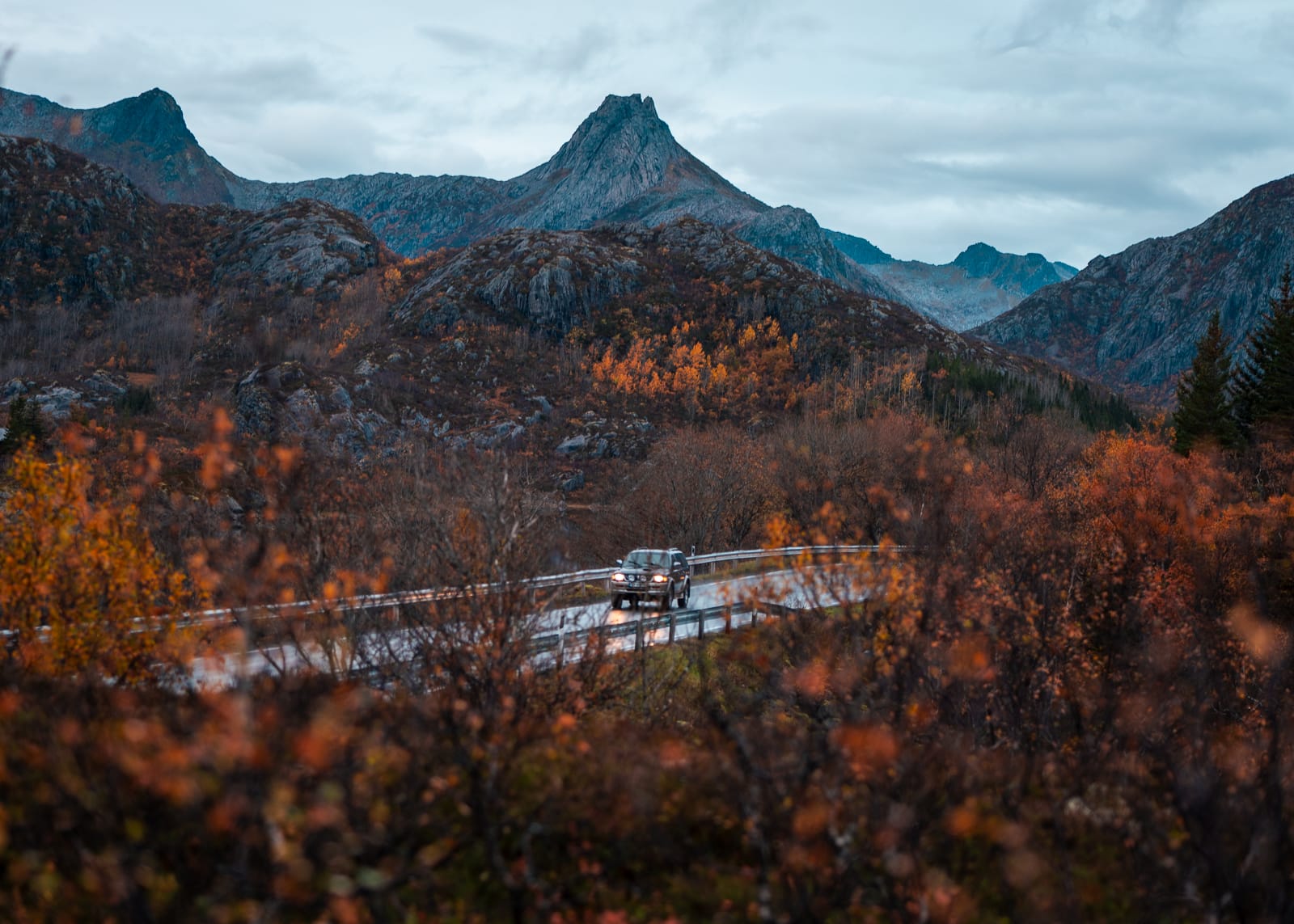 car driving on road surrounded by orange trees and mountains in Lofoten Islands, Norw