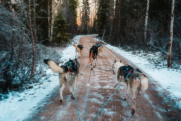 How to spend 1 day in Rovaniemi, Lapland - Best Winter Itinerary
