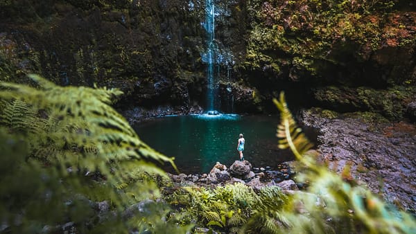 7 Tips for Photographing Madeira (from a Travel Photographer)